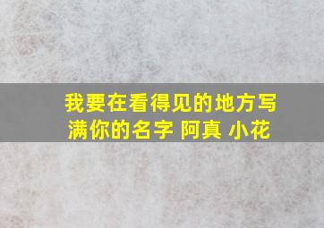 我要在看得见的地方写满你的名字 阿真 小花